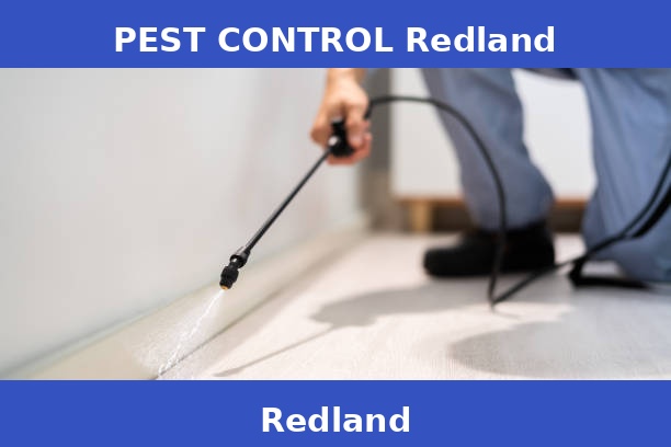 PEST CONTROL Redland
